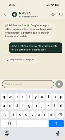Chat con Kabi IA