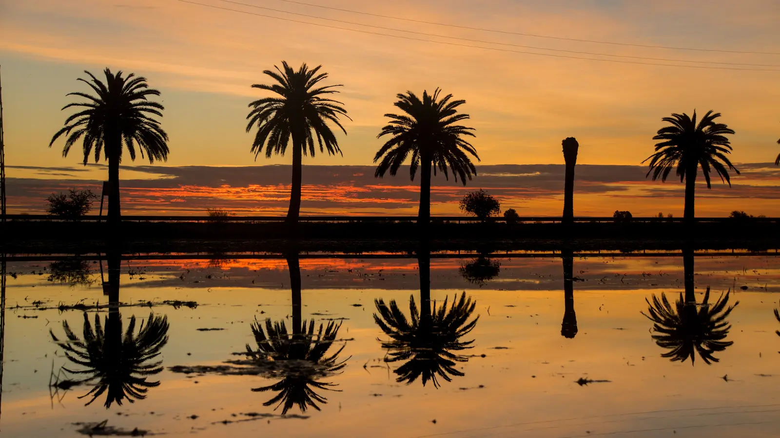 Delta de l'Ebre · Tarragona