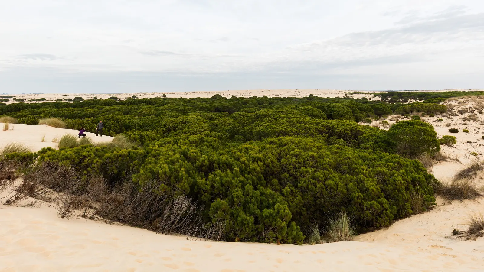 Doñana · Huelva