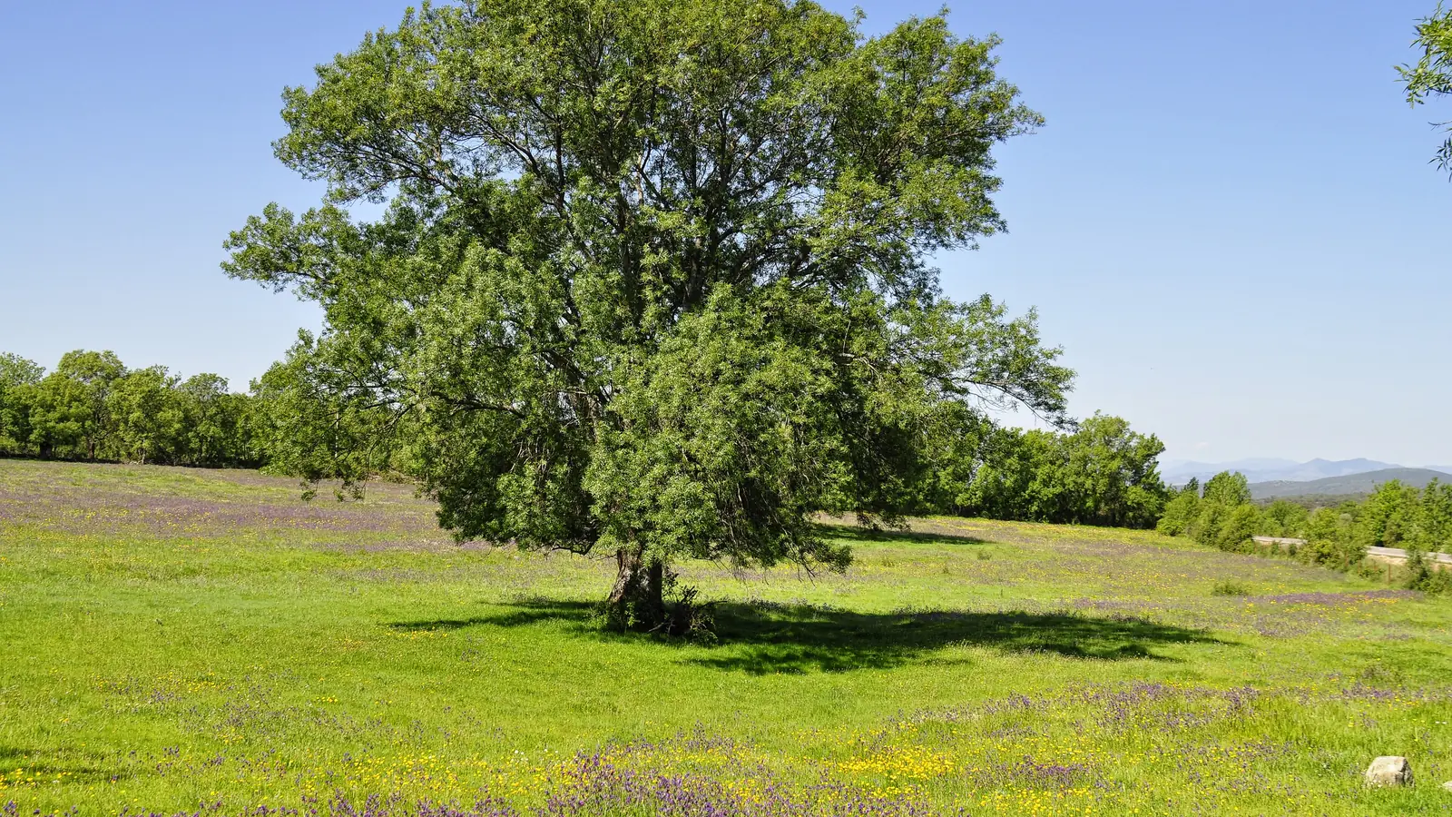 Valle del Ambroz · Norte de Cáceres