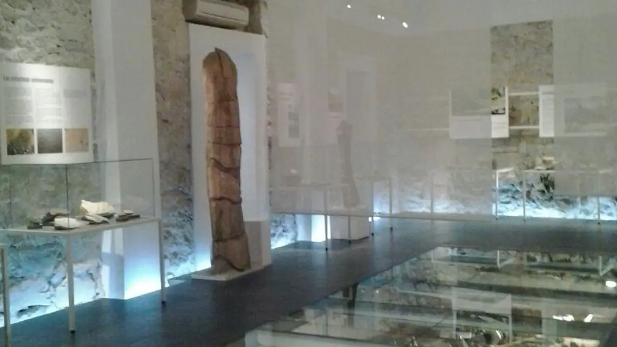 Museo Paleontológico de Alpuente