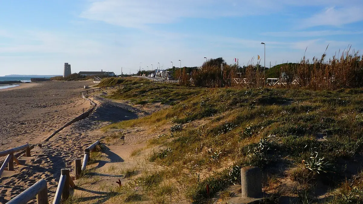 SURF EL PALMAR | Surf School | Surfskate | Surfshop