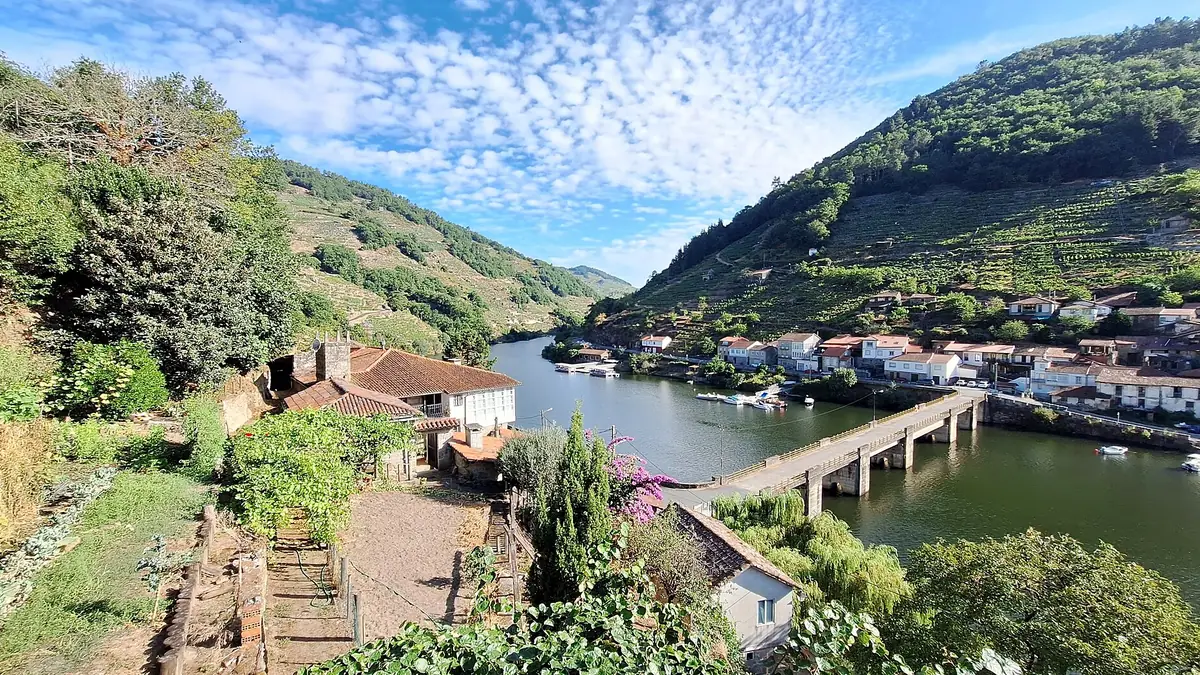 Ruta circular Belesar-Pincelo (Ribeira Sacra do Miño)-Actualizada 2025