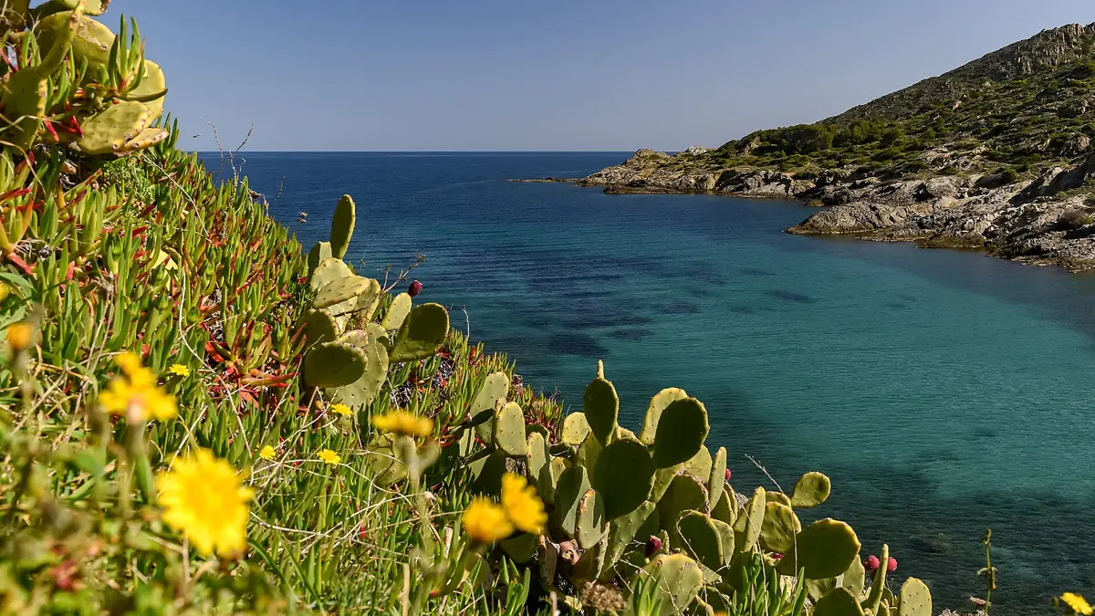 Cala Tamariua