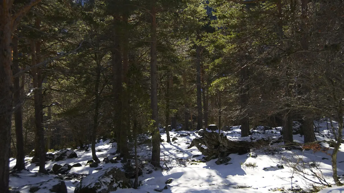 Laguna Negra, Picos de Urbión y Nacimiento del río Duero, “la Tierra de Alvargonzález” (IBP 80 HKG)