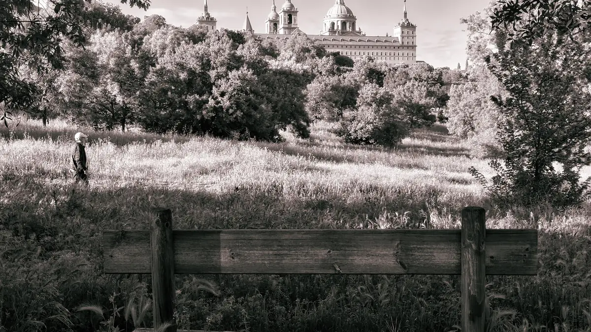 Paseo otoñal por el Bosque de La Herrería. San Lorenzo de El Escorial.