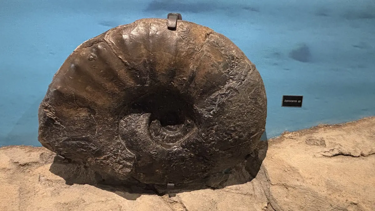 Centro de Interpretación Nautilus