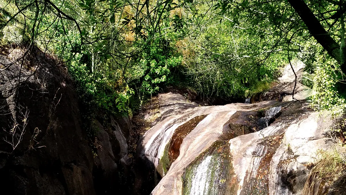 Ruta de las Nogaledas-Navalconcejo