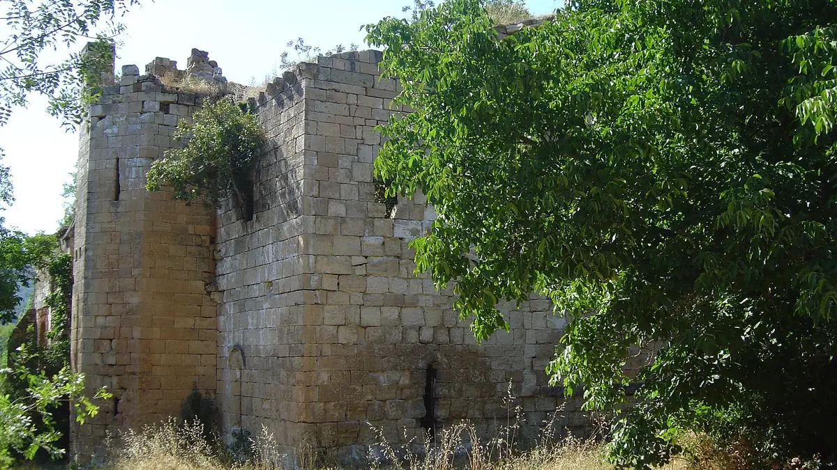 Monasterio de Santa María de Bonaval (ruinas)