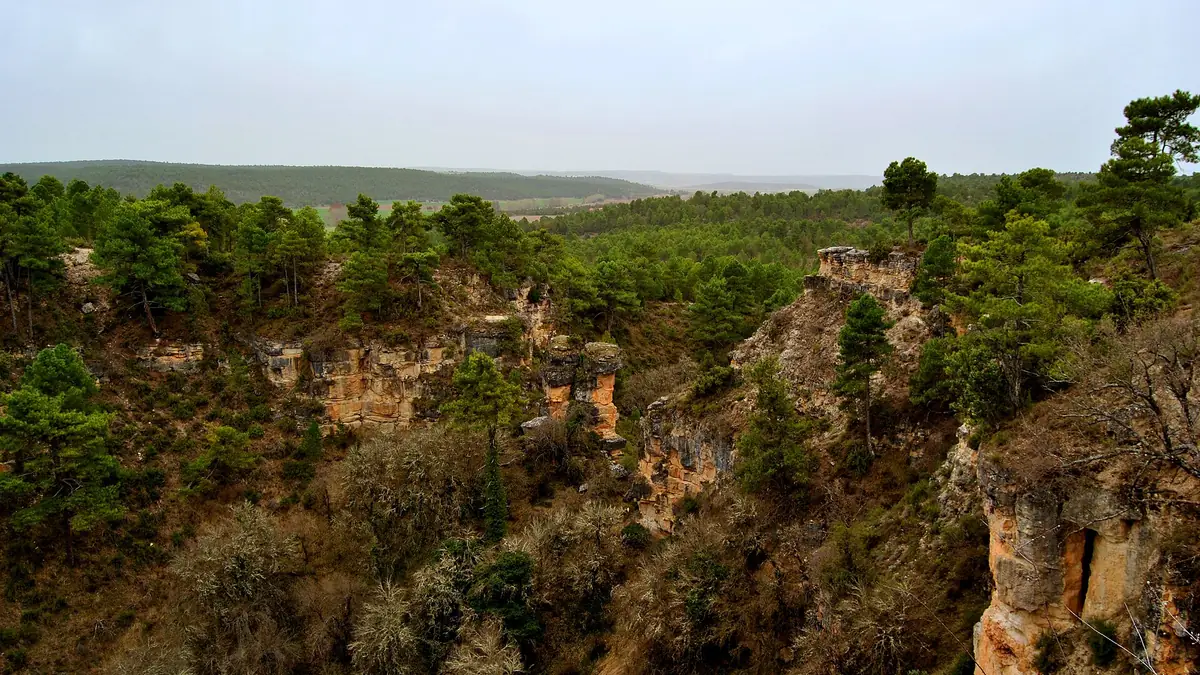 Monumento Natural de las lagunas de Cañada del Hoyo
