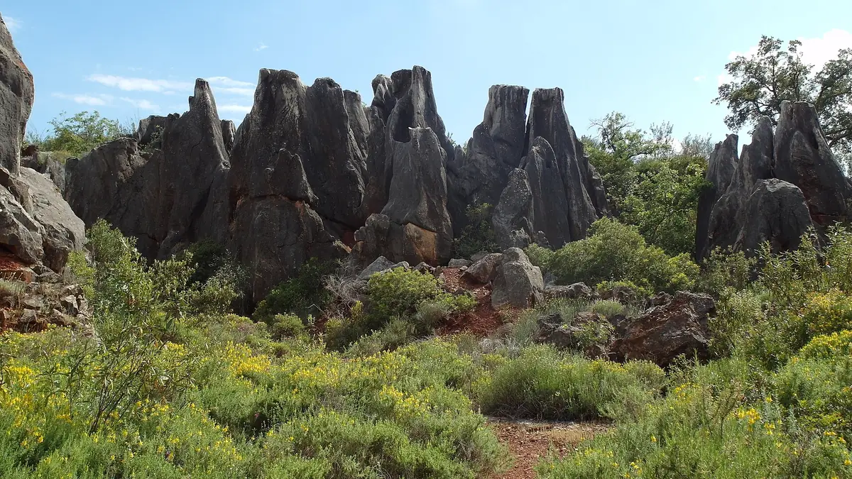 Cerro del Hierro