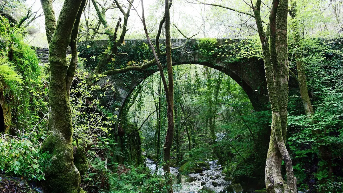 Ruta do Camiño Vello de Caaveiro, Monasterio de Caaveiro y Fervenza da Mazoca desde Capela.