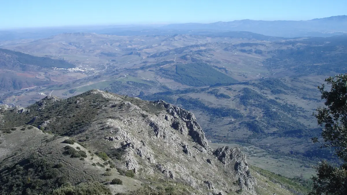 Puerto de Las Palomas