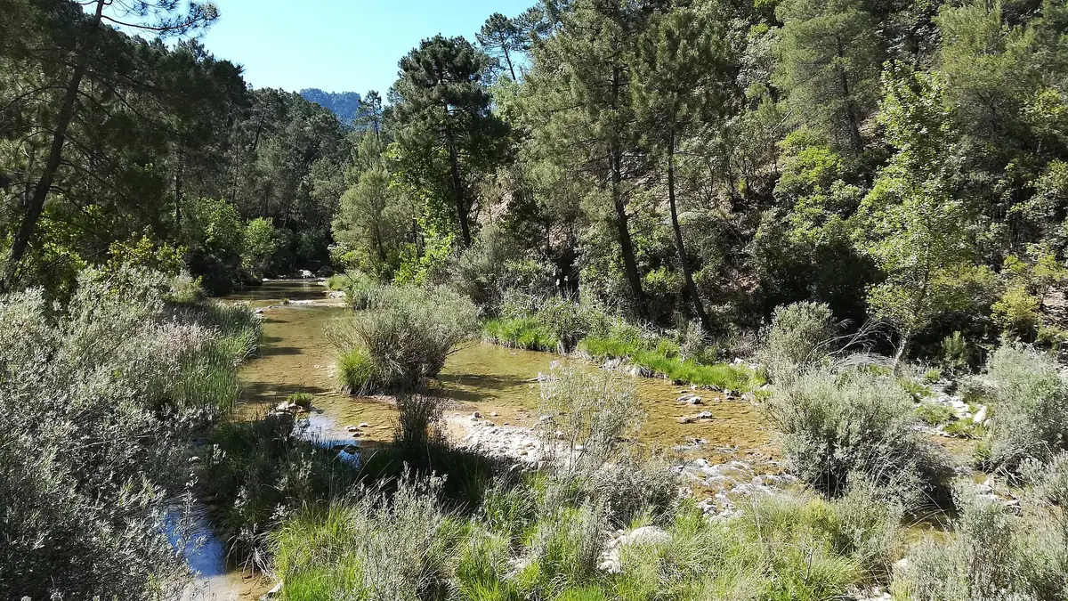 Río Borosa - Cerrada de Elias - Parque Natural de Cazorla, Segura y Las Villas