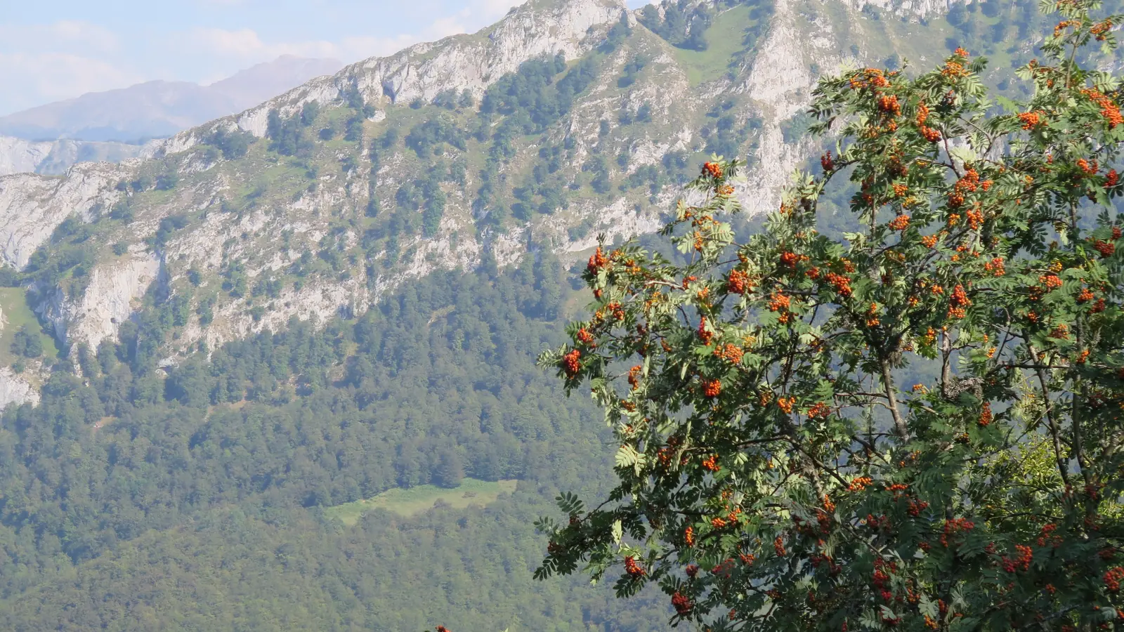 Ponga y Sajambre · Picos de Europa
