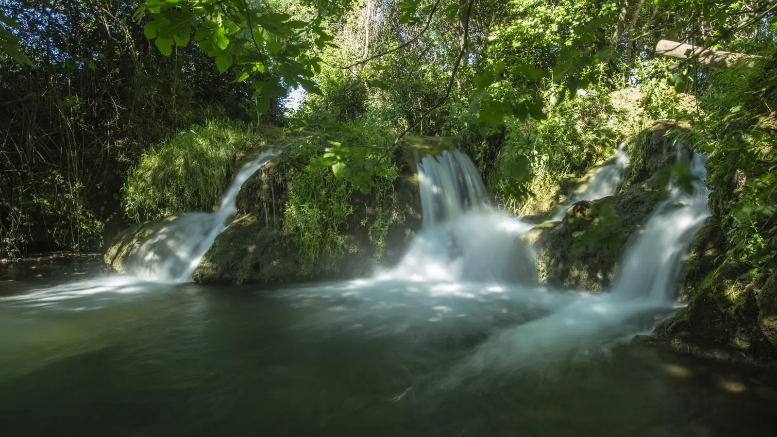 Sierra Norte de Sevilla · Sierra Morena