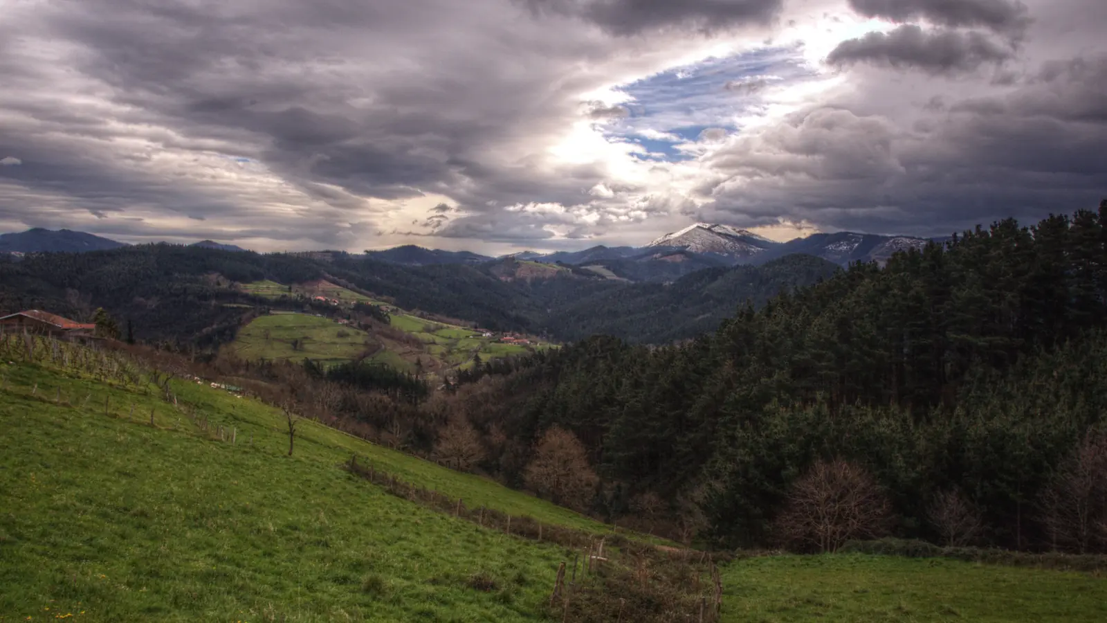 Reserva de Urdaibai · Bizkaia